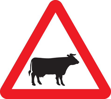 Traffic Sign - Cattle
