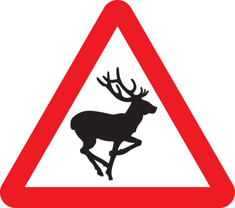 Traffic Sign - Wild animals